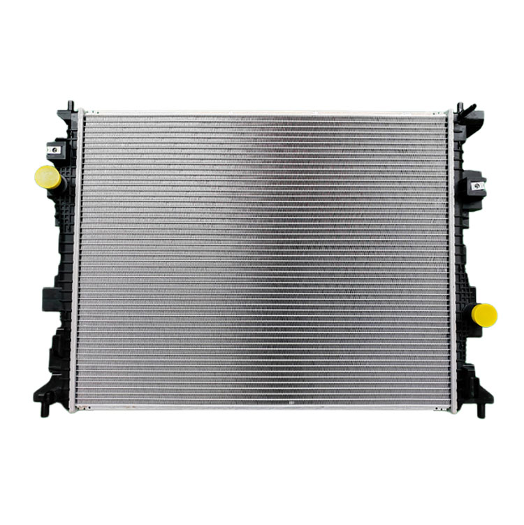 Lincolniensis 19 Adventurer Radiator